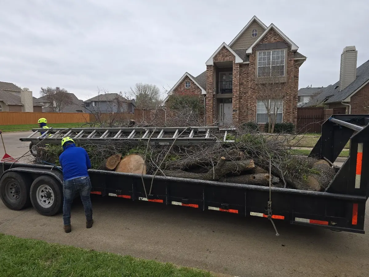 Expert Lot Clearing with proper safety equipment in Logan